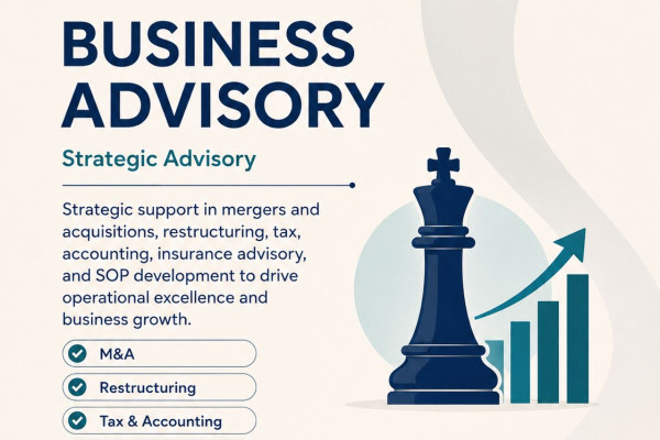 From Strategic Advisory to Professional Development